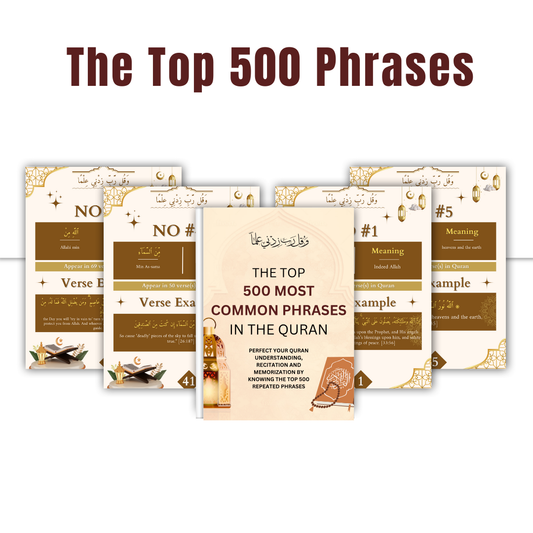 The Top 500 Most Common Phrases in The Quran eBook
