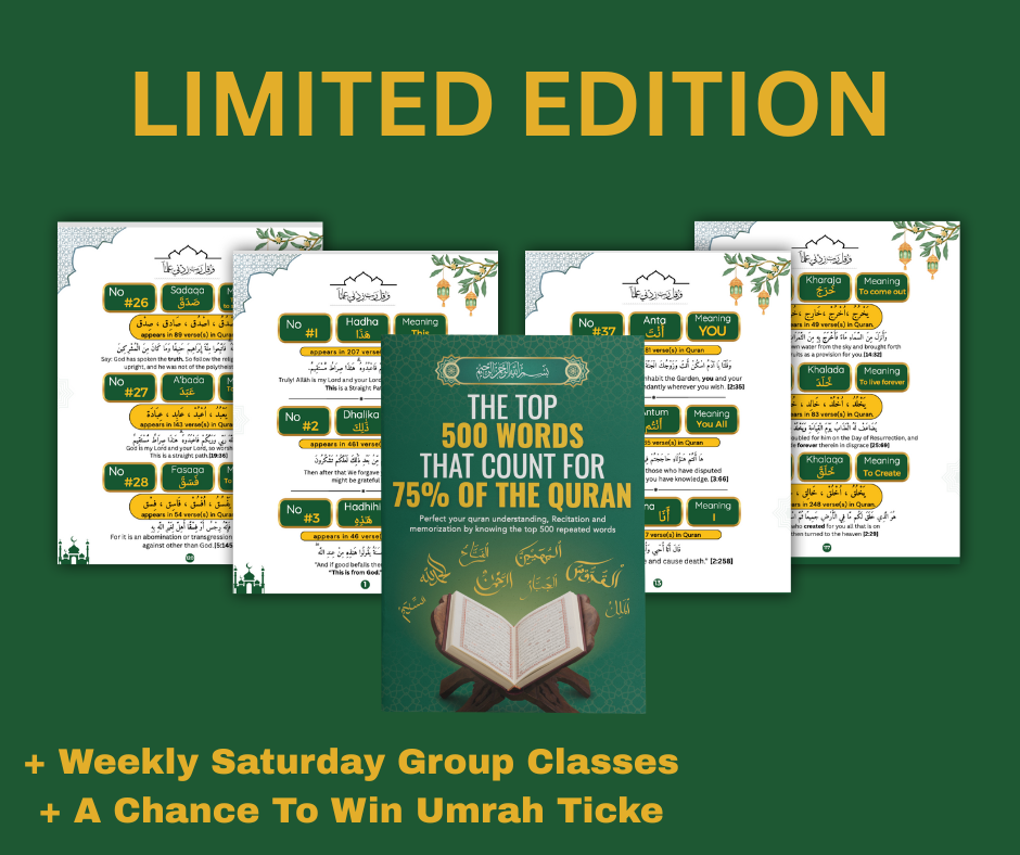 Limited Edition Bundle Top 500 Words